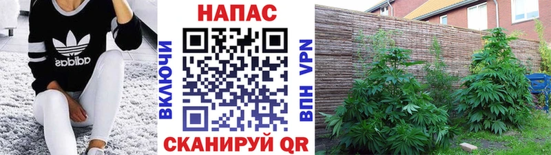 OMG рабочий сайт  Гурьевск  МАРИХУАНА планчик 